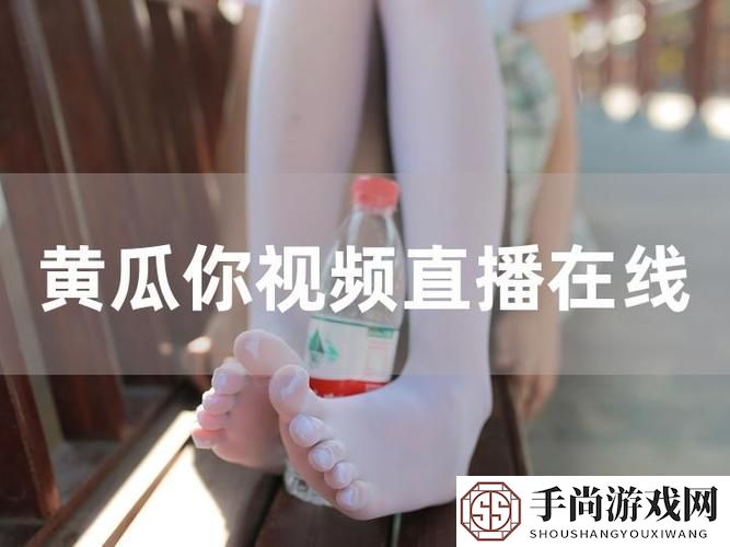 成品直播大全观视频的技巧和方法