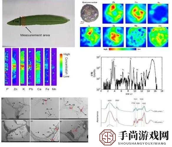 榨汁精灵的繁衍条件有哪些新发现科研成果展示及深度剖析