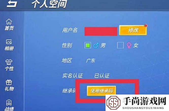 《逃跑吧少年》继承码使用方法