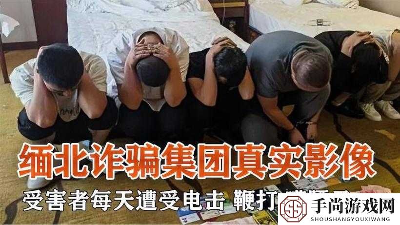 缅北诈骗视频免费观看