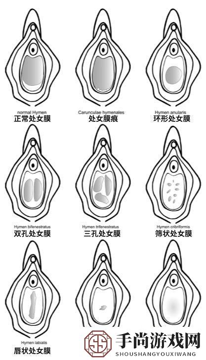 处破女处破全过第一次