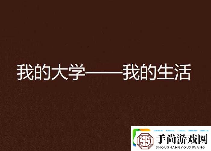 我的大学生活丰富多彩充满无限可能与挑战